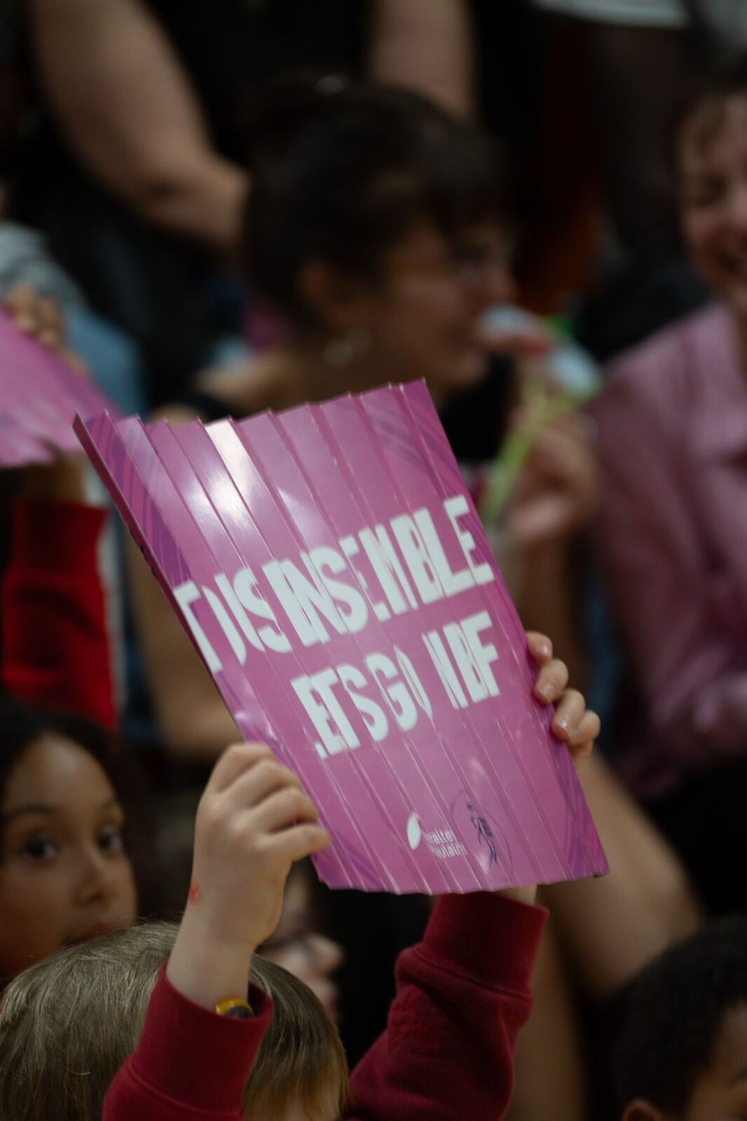 Pancarte « Tous ensemble Let's go NBF » au milieu du public